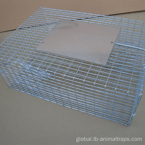 Catch Cage Trap Foldable Humane Bird Trap Cage Supplier